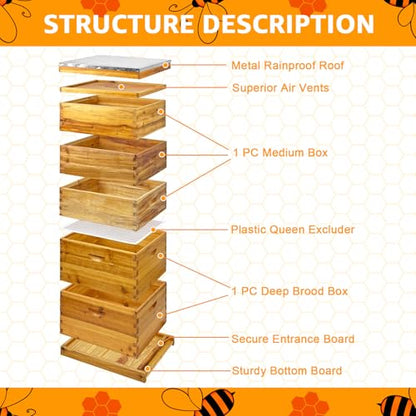 5-Layer Langstroth Beehive Kit: 2 Deep 3 Medium Supers, Wax Coated | Weatherproof 100% Beeswax Timber, Telescoping Metal Top, No Frames Included