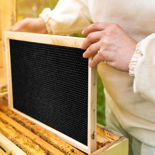 Weysat 40 Pcs Waxed Coated Beehive Foundation Sheets Beehive Wax Coated Foundation for Bee Frames Plastic Beeswax Sheet Bee Hive Equipment Deep Frame (Black) - color: Black