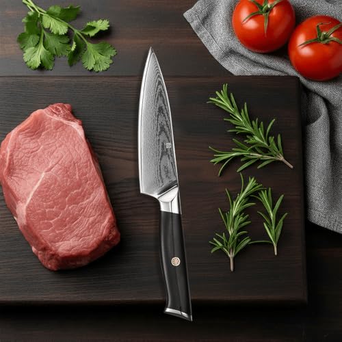 Utility Knife,5.5inch Damascus knife,67-Layer High Carbon Stainless Steel Kitchen Knife,Professiona Sharp Cutting Knives with Black Ergonomic G10 Handle,Gift Box for Home and Kitchen Birthday Gift - style: 13C pro Utility Knife(Black)