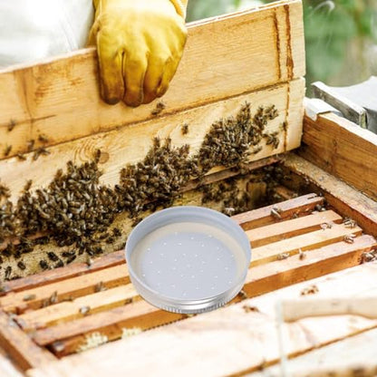 Happyyami 4pcs Entrance Feeder Beehive Feeder Lids Honey Bee Feeder Mason Jar Lids Plastic Bee Hive Entrance Feeder with Perforated Lids Beekeeping Perforated Lid Fits Mason Jars