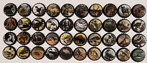 500 Homebrew Beer Bottle Caps for crafts Twist or Pry Off