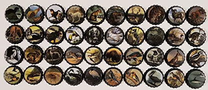 500 Homebrew Beer Bottle Caps for crafts Twist or Pry Off