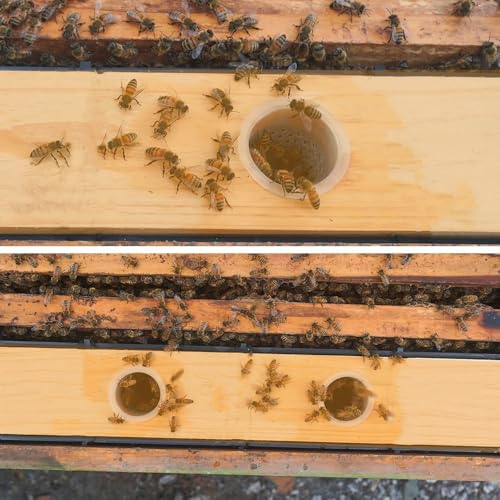 6L Bee Hive Feeder, Bee Feeders for Hives,Frame Feeders for Bee Hives,Plastic Bee Syrup Water Food Feeder Bee Feeding Tools Beekeeping Supplies