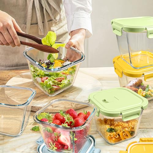 Borosilicate Glass Soup Containers with Lids, 4 Cup/32 oz, 4 Pack | Microwave Dishwasher Oven Freezer Safe | Airtight Leak Proof | Food Grade | Square Soup Meal Prep | Lunch | Food Storage Set - color: Multicolor