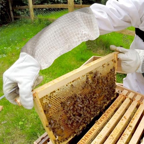 Luwint Premium Goatskin Beekeeping Gloves, Bee Beekeeper Gloves with 3 Layers Ventilated Mesh Sleeve and Elastic Cuffs - size: Large