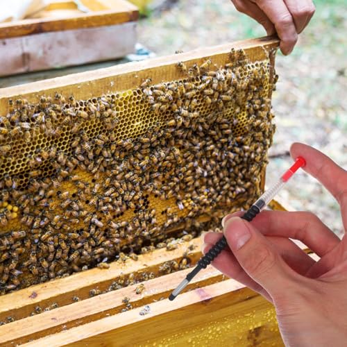 Beekeeping Transfer Needles and Hive Moving Tools for Queen Rearing, 3 Pairs Black Needles with Different Tips, Beekeeping Equipment for Brood Grafting and Hive Management