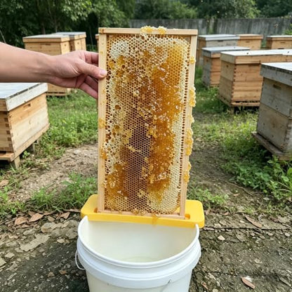 Uncapping Holder, Plastic Honey Bucket Scraper Tool for 5 and 6 Gallon Bucket Honey Uncapping Tank, Beekeeping Beehive Frame Holder, Beekeeper Flat Honey Shelf, Honey Harvesting