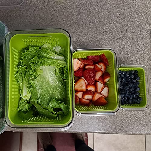 LUXEAR Fresh Container, 3PACK Produce Saver Container BPA Free Fridge Organizer for Vegetable Fruit and Salad Partitioned Food Storage Container with Vents Stay Fresh Containers Not Dishwashers Safe - color: Green