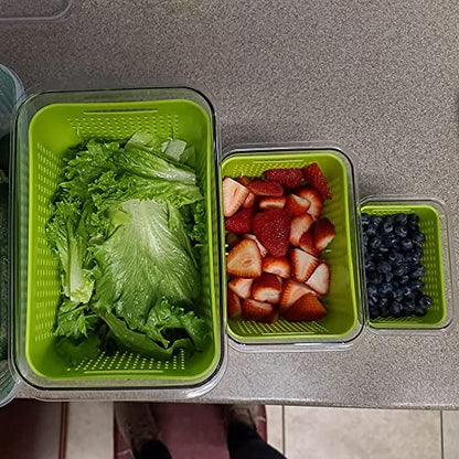 LUXEAR Fresh Container, 3PACK Produce Saver Container BPA Free Fridge Organizer for Vegetable Fruit and Salad Partitioned Food Storage Container with Vents Stay Fresh Containers Not Dishwashers Safe - color: Green