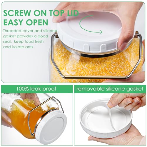 Qianfenie 1.5 Gallon Glass Jar with Lid Wide Mouth, Large Mason Jar with Airtight Screw Lid and Handle, Big Storage Jar with 2 Scale Marks for Kitchen Food, Pantry Organization (5700ML/192OZ)