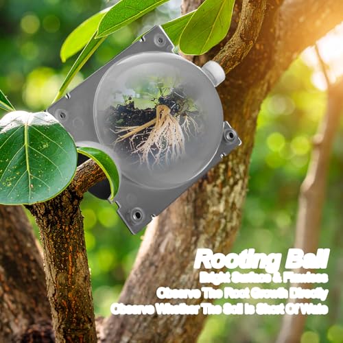 30 Pcs Air Layering Propagation Kit Reusable Half Black Half Transparent Grafting Ball Air Layering Pods Propagation Box Plant Rooting Grafting Box for Plants, Medium