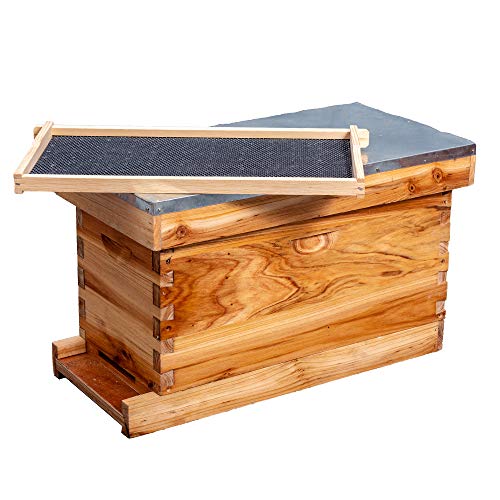 5-Frame Nuc Beehive Box for Beekeeping Complete Bee Hive Nuc Box Kit Dipped in 100% Beeswax Includes 5 Wooden Frames & Heavy Wax Coated Foundations