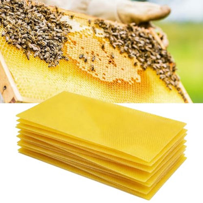 Saihisday 10Pcs Beehive Foundation 8-1/2-Inch Wax Coated Foundation Sheet Deep Bee Hive Beeswax Waxed Foundations Bee Waxed Sheets for Bee Frame