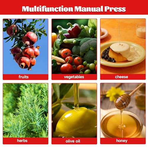 Fruit Wine Manual Press 6L/1.6Gallon Stainless Steel Barrels Honey Presser with T-shaped Handle Fruit Press Making Equipment for Pressing Juice Vegetable Wine Cider - size: 6L/1.6Gallon with T-shaped