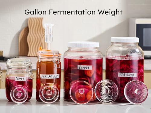 Jillmo Large Fermentation Weights for 1 Gallon Wide Mouth Jars, Heavy Glass Fermenting Weights with Easy Grip Handle, Keeps Vegetables Under Brine for Sauerkraut, Kimchi & Pickles, Pack of 4 - size: Plain - 4 Pack
