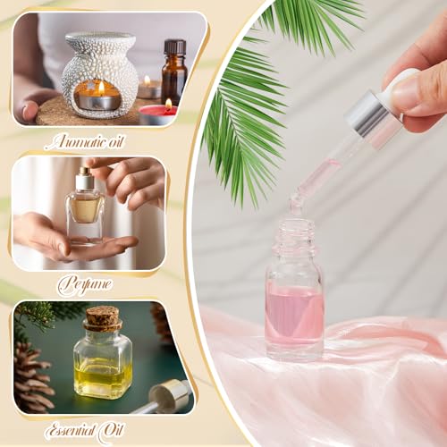 Didaey 100 Pcs 1/2/3/5/10/15 ml Mini Glass Oil Dropper Bottle Bulk, Clear Essential Small Empty Bottles Sample Containers Perfume Liquid Vials with Cap for Traveling (10 ml,Classic Silver) - color: Classic Silver, size: 10 ml