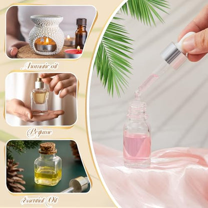 Didaey 100 Pcs 1/2/3/5/10/15 ml Mini Glass Oil Dropper Bottle Bulk, Clear Essential Small Empty Bottles Sample Containers Perfume Liquid Vials with Cap for Traveling (10 ml,Classic Silver) - color: Classic Silver, size: 10 ml