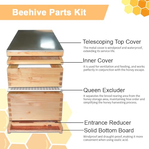 1 Set 10 Frame Langstroth Beehive Parts Kit, 100% Beeswax for Beekeeping Equipment (Telescoping Top Cover, Inner Cover, Bee Escape, Plastic Queen Excluder, Solid Bottom Board)