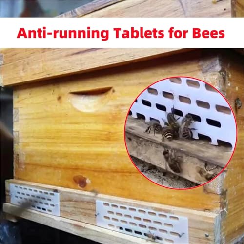 Bee hive Entrance Reducer 100pcs Bee Queen Prevent Escape Tablets White Plastic Hive Anti Escape Spacer Frame Nest Door Plate Profession Beekeeping Tools White for Swarm Trap Hive Trap