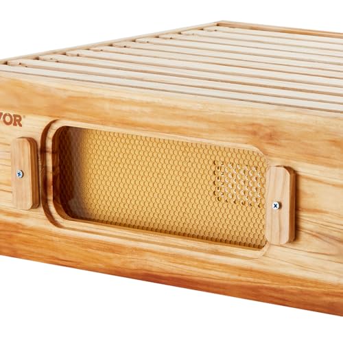 Bee Hive 40 Frame Bee Hives Starter Kit, Beeswax Coated Cedar Wood, 2 Deep + 2 Medium Bee Boxes Langstroth Beehive Kit, Transparent Acrylic Windows with Foundations for Beginners Pro Beekeepers Stur