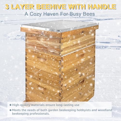 10 Frame Beehive Boxes, 3 Layer Langstroth Bee Hive Kit with 2 Deep Brood and 1 Medium Honey Super, 100% Beeswax Coated Wood Bee House, Professional Beekeeping Supplies - No Frames - size: 3 layer