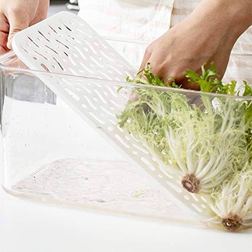 SANNO Fridge Produce Saver Stackable Refrigerator Organizer Keeper with Lids and Removable Drain Tray for Veggie, Berry, Fruits and Vegetables,Pack of 2 - size: 12.4” x 6.4”x 5.7"+9.2"x5.8"x4.8"