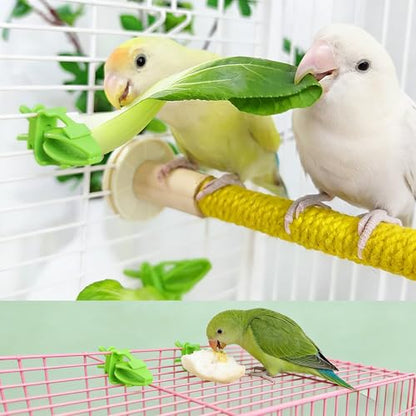 10-Pack Green Millet & Cuttlebone Holder, Bird Cage Accessories for Parakeet & Small Birds - color: Green