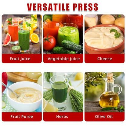 2.38 Gal Fruit Wine Press, Heavy Duty Stainless Steel Cider Press with Swing Beam, Manual Apple Crusher & Juicer for Grapes, Berries, Tomatoes, Cheese