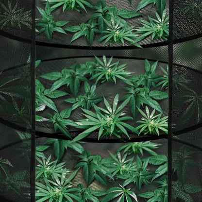 iPower Herb Drying Rack 8-Layer 2ft Mesh Hanging Net Dryer Collapsible with Opendoor, Pothook and Storage Bag, for Hydroponics Flowers, Buds, Fruits, Seafoods, Clothes, 2 Packs - size: 8-Layer Open