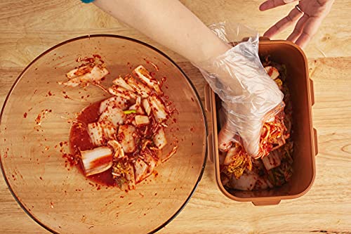 Authentic Crazy Korean Cooking Kimchi Container 0.9 Gal (3.4L) 2 PACK - size: 0.9 Gal (3.4L) 2 PACK