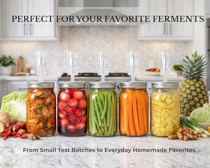 Jillmo Fermentation Lids for Wide Mouth Mason Jars, Stainless Steel Auto Venting Fermenting Lid Kit with Airlocks & Silicone Grommets for Pickles, Kimchi & Sauerkraut, 4 Pack, No Jars Included - size: Pack of 4