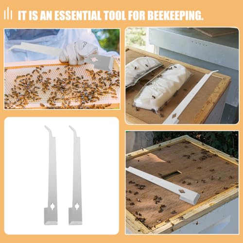VANZACK Professional Beekeeping Tools Set Silver Steel Hive Scraper Beehive Box