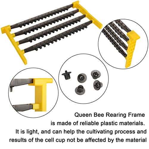 Beekeeping Queen Bee Rearing Frame 60 Cell, Apiculture Queen Cell Cups Holder, Beekeeper Hive Bee Rearing Cell Bar