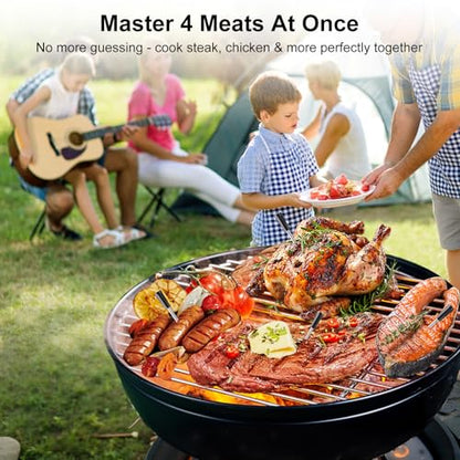 Newise 4 Probes Wireless Meat Thermometer, Bluetooth Digital Food Thermometer for BBQ, Grill, Oven, Smoker, Long Range and Rechargeable Base with Real-time Alerts - style: 4 Probes