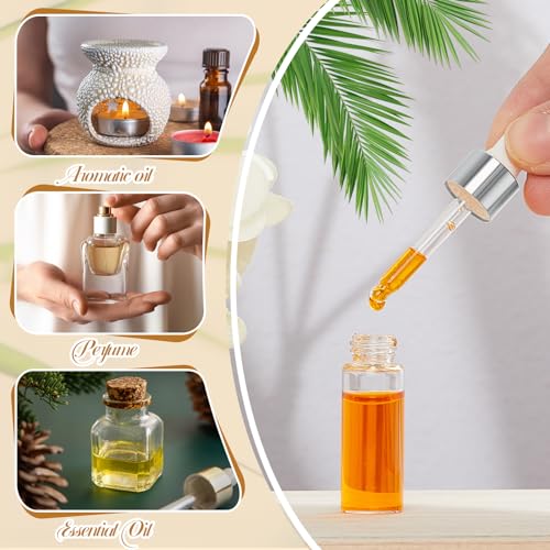 Didaey 200 Pcs 1/2/3/5/10/15 ml Mini Glass Oil Dropper Bottle Bulk, Clear Essential Small Empty Bottles Sample Containers Perfume Liquid Vials with Cap for Traveling (5 ml,Classic Silver) - color: Classic Silver, size: 5 ml