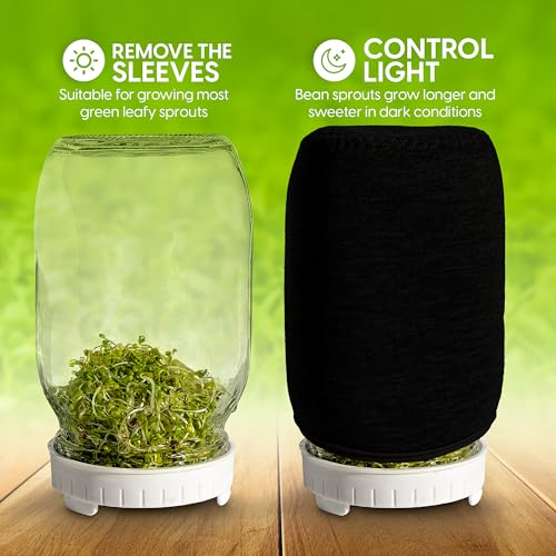 Broccoli Sprouting Kit & Green Onion Regrower with USA Organic Broccoli & Alfalfa Seeds – 2 Wide-Mouth Mason Jars, Sprout Lids, Stainless Stand, Drain Tray & Blackout Sleeves - color: Sprouts Growing Kit & Green Onion Regrower