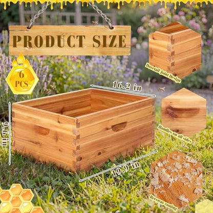 Marsui 6 Pcs Bee Hive 10 Frame Deep Bee Hive Box, Langstroth Beehive Boxes Natural Beeswax with Window, Beehive Frames and Beeswaxed Foundations