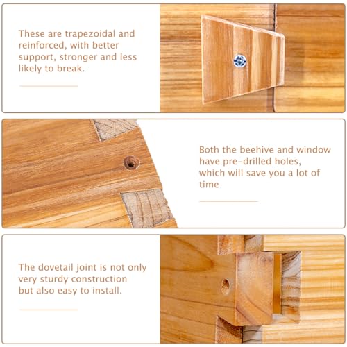 BeeCastle 10 Frame Langstroth Bee Hive with Windows Beeswax Coated Includes Beehive Frames and Waxed Foundations (2 Deep Beehive Boxes & 2 Medium Bee Boxes) - size: 2 Deep & 2 Super Boxes