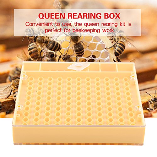 Queen Rearing Kit Bee Cultivating Tool Plastic Beekeeping Box Cell Cup Marking Tube Set Durable for Raising Queens Without Grafting Beekeeping Work