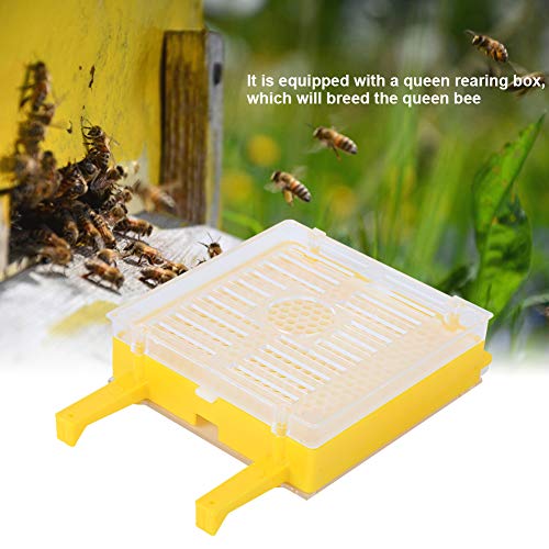 Queen Rearing Grafting Kit, Queen Bee Rearing Kit, Grafting Tool Set for Beginner Beekeepers Beekeeping Apiculture Supplies
