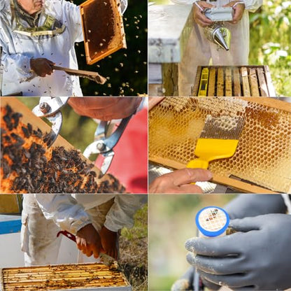 Blisstime 13pcs Bee Hives Starter Kit Beekeeping Supplies with Bee Suit, Bee Supplies and Equipment with Bee Smoker, Honey Bee Hive Tools for Beginners and Bee Keeper(XXL)