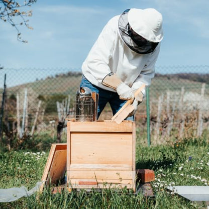 Toyvian Multi-Purpose Beehive Tool Set for Beekeeping Use Featuring Lightweight Wood Brush and Sturdy Alloy Curved Hook Scraper, Designed for Professional Beekeepers