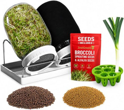 Broccoli Sprouting Kit & Green Onion Regrower with USA Organic Broccoli & Alfalfa Seeds – 2 Wide-Mouth Mason Jars, Sprout Lids, Stainless Stand, Drain Tray & Blackout Sleeves (Sprout Jar + Seeds) - color: Sprout Jar + Seeds