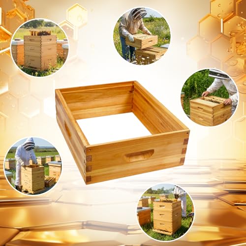 2 Pack 10 Frame Langstroth Medium Super Bee Box Dipped in Beeswax Beehive Box for Beekeeping Supplies - size: 2 Pack Medium Super Bee Box