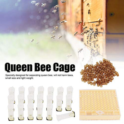 Plastic Queen Bee Rearing Box, Lightweight Portable Bee Grafting Kit Breeding Cell Cup Kit for Beekeeping Equipments Supplies