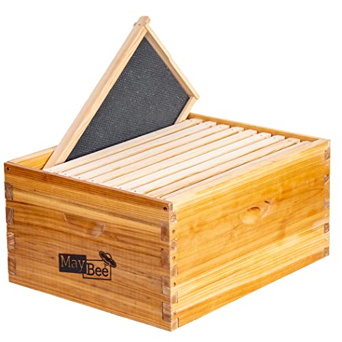 10-Frame Beehive Box Langstroth Deep Brood Box Dipped in 100% Beeswax Includes Wooden Frames & Waxed Foundations (Unassembled) - size: 10-frame deep box