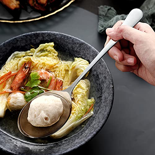 Large Serving Spoons,AOOSY 2 Pcs-9.8 Inches Stainless Steel Serving Spoon | for Buffet, Parties, Catering,Solid Serving Utensils Serving Utensil,Dishwasher Safe - color: 2Pcs-Silver Large Serving Spoons