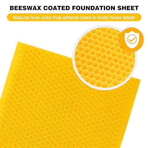 Beehive Wax Coated Foundation Sheet,5-5/8-Inch Medium Beeswax Foundation Sheets,10 Pcs Plastic Bee Hive Foundation Sheet,Beehive Foundation Sheet Fit Medium Frame Beekeeping Supply - color: 10pcs-Super