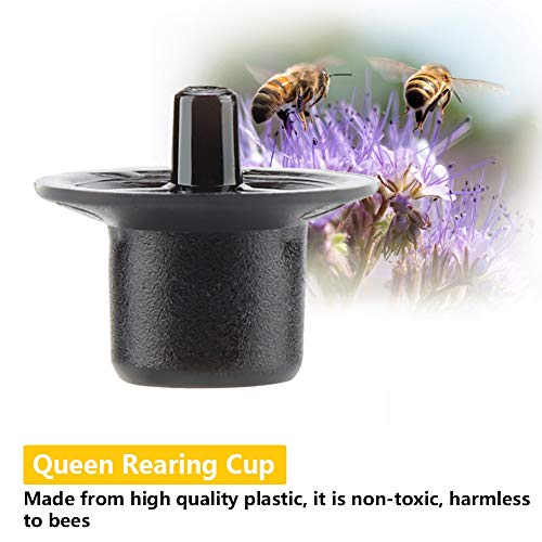 AUNMAS 50pcs Beekeeping Queen Rearing Bee Cups, Queen Cell Cups Cell Cups Bee Keeper Equipment Tool Apiculture Supply Black (Black) - color: Black