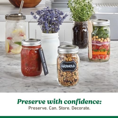 Ball Regular Mouth Easy Label Glass Mason Jars with Lids and Bands, Used for Canning, Pickling, Juice, Jam, Jelly, Quart Size 32 Ounce (Pack of 2) - size: 32 Ounce (Pack of 2)